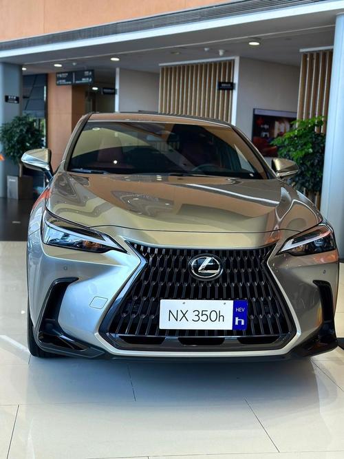 2023款雷克萨斯rx350h,2023款雷克萨斯es300h