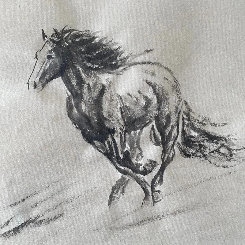 千里马图片(千里马图片绘画)