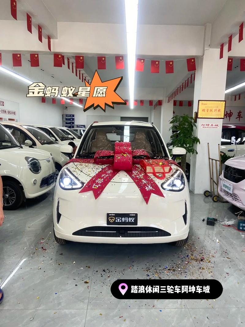 五座电动汽车价格及图片／五座的电动汽车