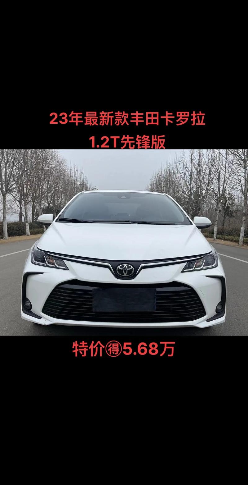 卡罗拉最耐用的是哪款(买卡罗拉的十大忠告)