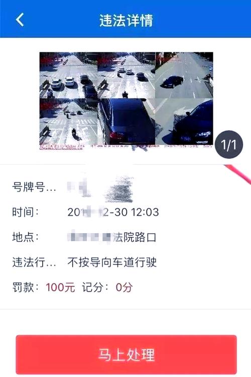 交通123违章罚款交费／交通123违章罚款交费官网