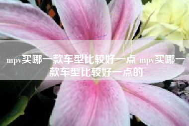 mpv买哪一款车型比较好一点 mpv买哪一款车型比较好一点的