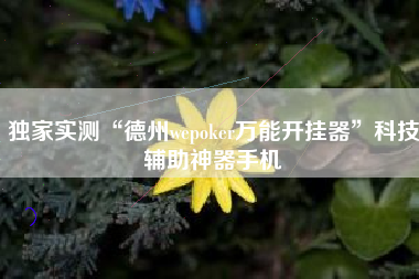 独家实测“德州wepoker万能开挂器”科技辅助神器手机