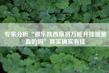 专家分析“微乐陕西麻将万能开挂器是真的吗”其实确实有挂