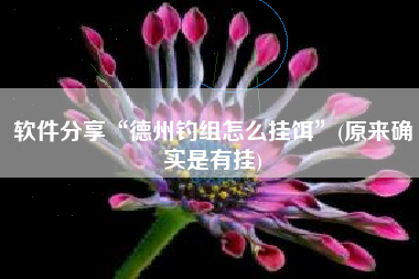 软件分享“德州钓组怎么挂饵”(原来确实是有挂)