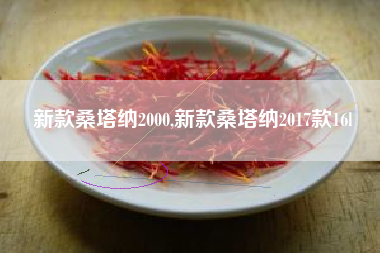 新款桑塔纳2000,新款桑塔纳2017款16l