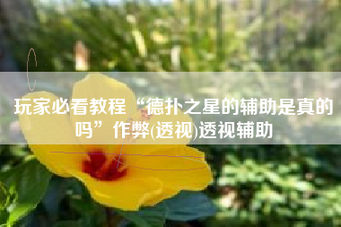 玩家必看教程“德扑之星的辅助是真的吗	”作弊(透视)透视辅助