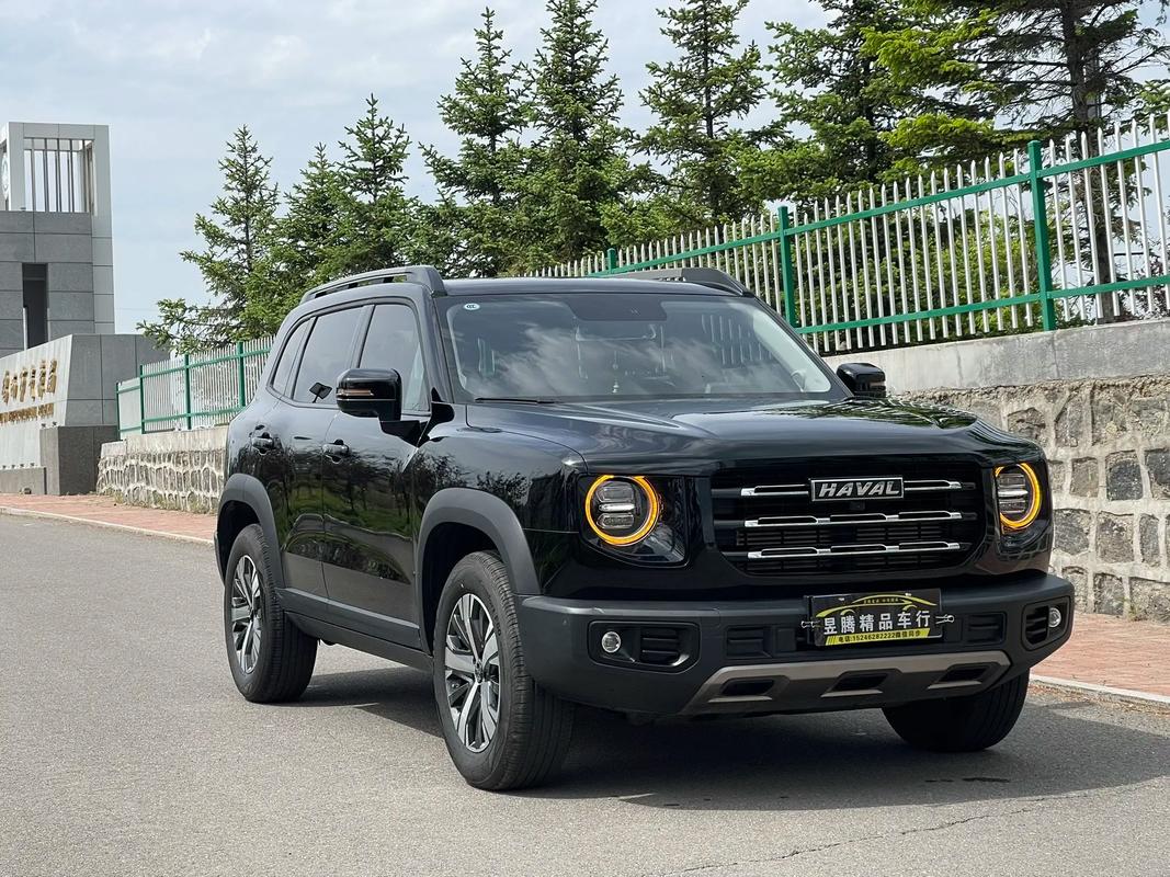 【哈弗大狗车怎么样,哈弗大狗都有哪些版本】