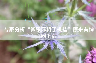 专家分析“微乐麻将手机挂	”原来有神器下载