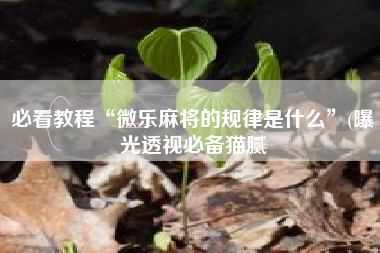 必看教程“微乐麻将的规律是什么	”(曝光透视必备猫腻