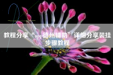 教程分享“app德州辅助	”详细分享装挂步骤教程