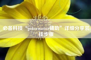 必备科技“pokermaster辅助”详细分享装挂步骤