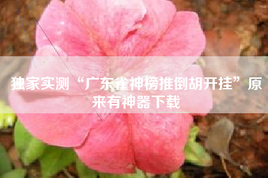 独家实测“广东雀神榜推倒胡开挂	”原来有神器下载