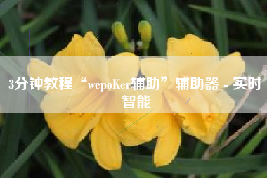 3分钟教程“wepoKer辅助”辅助器 - 实时智能