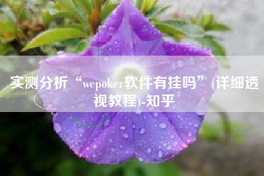 实测分析“wepoker软件有挂吗	”(详细透视教程)-知乎