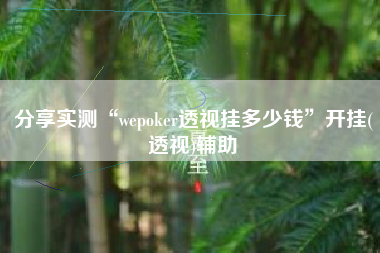 分享实测“wepoker透视挂多少钱”开挂(透视)辅助