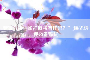 专家分析“雀神麻将有挂吗？	”(曝光透视必备猫腻