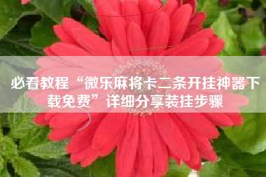 必看教程“微乐麻将卡二条开挂神器下载免费”详细分享装挂步骤