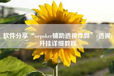 软件分享“wepoker辅助透视作弊”(透视)开挂详细教程