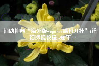 辅助神器“海外版wepoker德州开挂”(详细透视教程)-知乎
