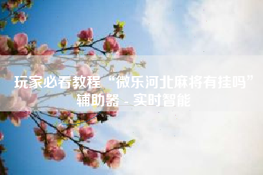 玩家必看教程“微乐河北麻将有挂吗	”辅助器 - 实时智能