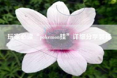 玩家必读“pokemon挂”详细分享装挂