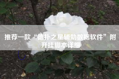 推荐一款“德扑之星辅助数据软件”附开挂脚本详细
