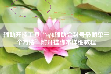 辅助开挂工具“wpk辅助会封号最简单三个方法”附开挂脚本详细教程