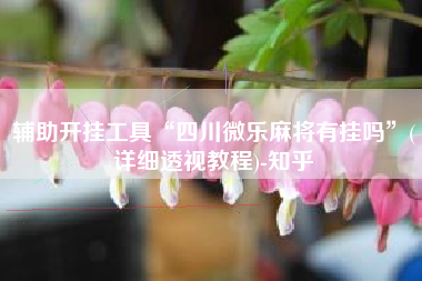 辅助开挂工具“四川微乐麻将有挂吗”(详细透视教程)-知乎