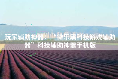 玩家辅助神器：“微乐黑科技游戏辅助器	”科技辅助神器手机版
