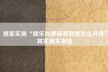 独家实测“微乐内蒙麻将到底怎么开挂”其实确实有挂