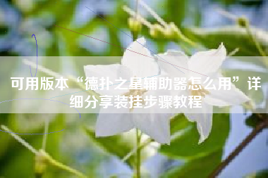 可用版本“德扑之星辅助器怎么用”详细分享装挂步骤教程