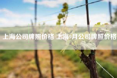 上海公司牌照价格 上海9月公司牌照价格