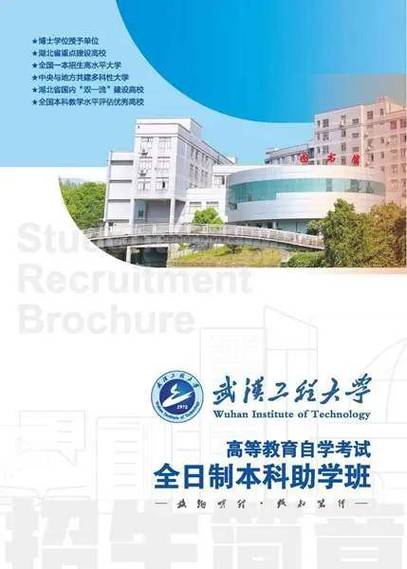 武汉工程大学教务处(武汉工程大学教务处电话)