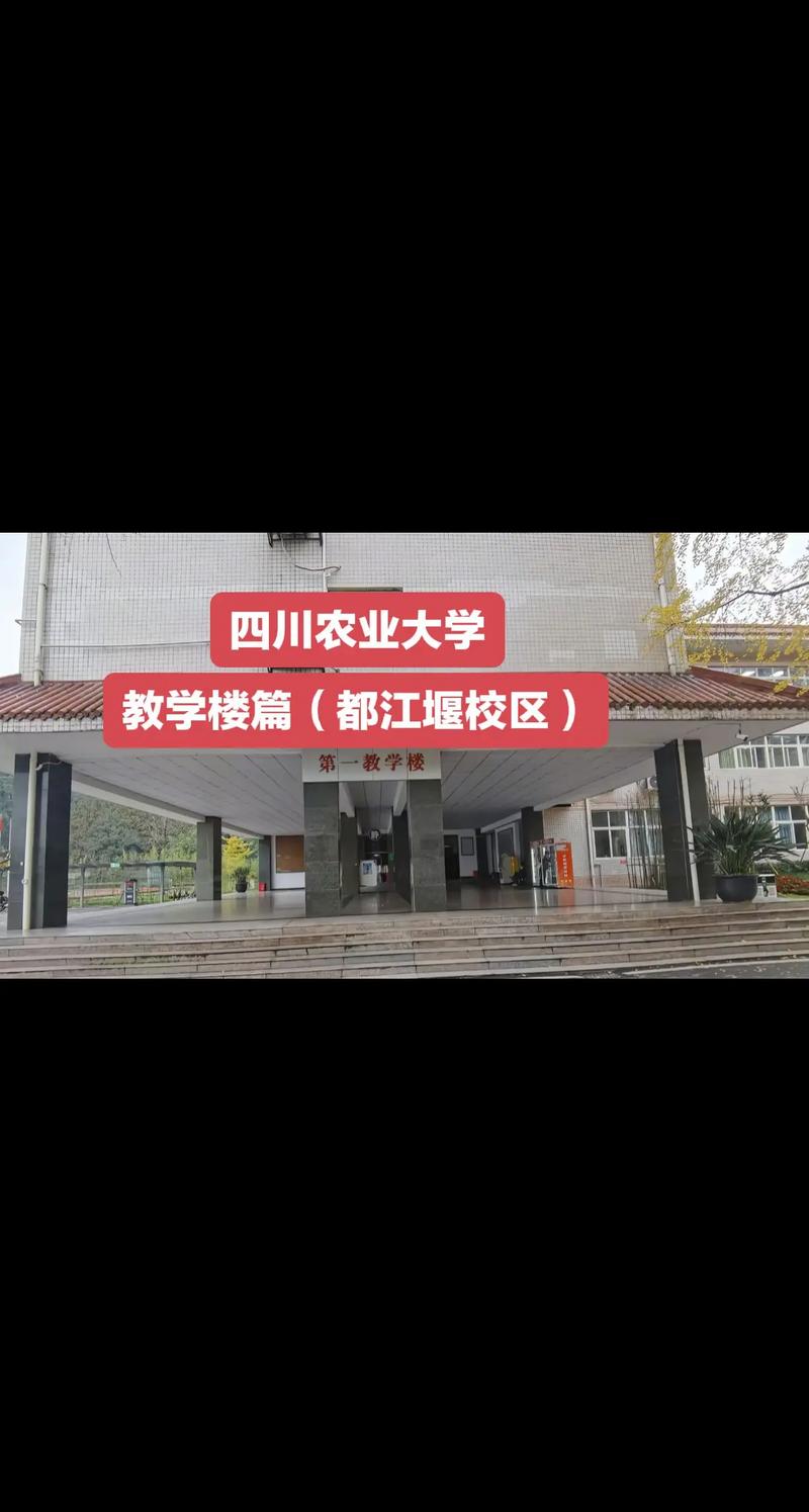 千万别来四川农业大学(四川农业大学属于几本)
