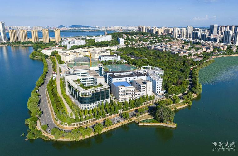 【武昌理工学院是几本,武昌理工学院是几本吗还是专科】